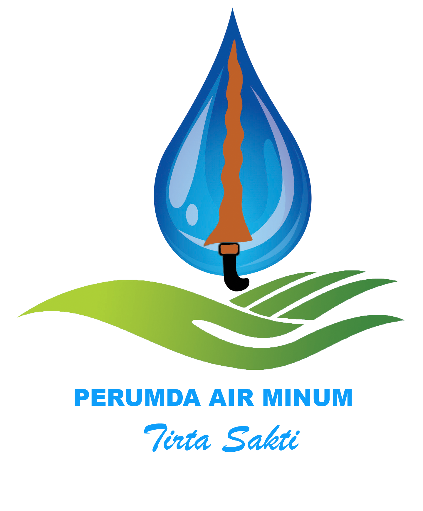 Logo Perumdats